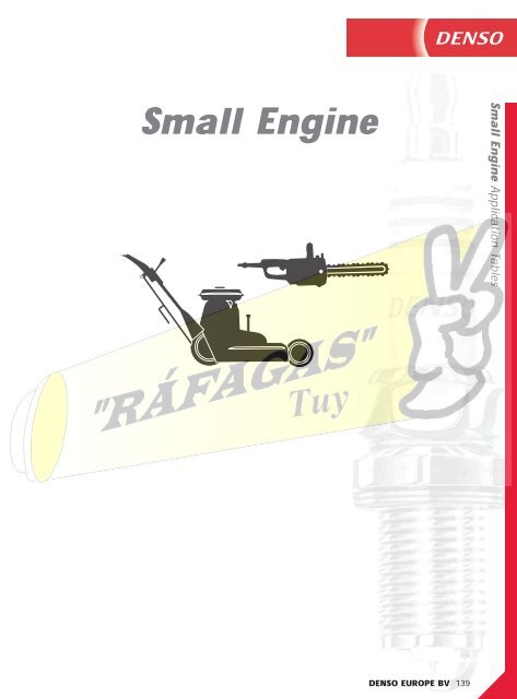 DENSO-2009 RAFAGAS.pdf