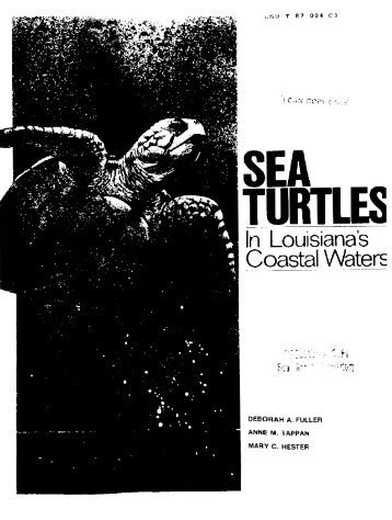 Sea Turtles in Louisiana's Coastal Waters - Seaturtle.org