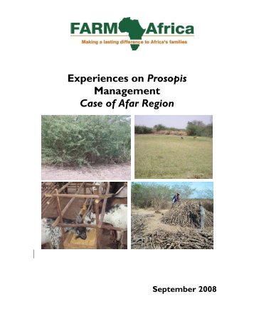 Experiences on Prosopis Management Case of Afar ... - Farm Africa