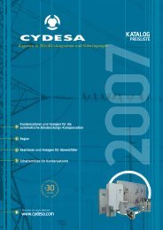 Download the catalogue 2007 (pdf) - Cydesa