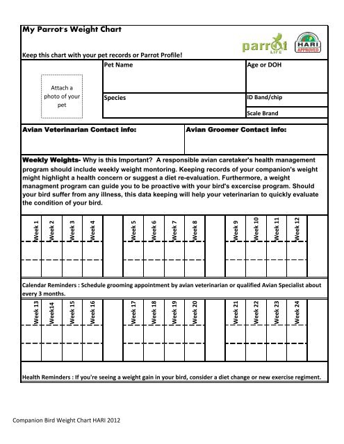 My Parrot's Weight Chart