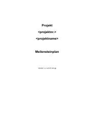 Projekt   Meilensteinplan