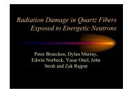 Radiation Damage in Quartz Fibers Exposed to Energetic Neutrons