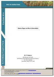 Status Paper on Rice in Karnataka.pdf - Rice Knowledge ...