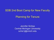 SDB 2nd Boot Camp for New Faculty Planning for Tenure