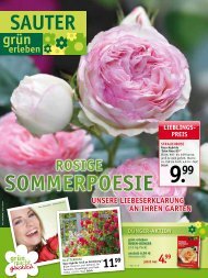 PDF öffnen - SAUTER grün erleben - sauter-gartenbau.de