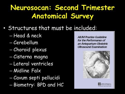 3D Fetal Neurosonography