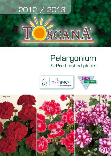 Pelargonium - BG-Flower