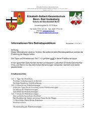 Praktikumsmappe fÃ¼r den 9. Jahrgang â im pdf-Format - Elisabeth ...