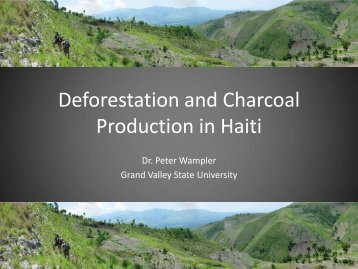 Deforestation and Charcoal Production in Haiti - Gvsu - Grand ...