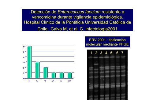 Enterococo resistente a Vancomicina PrevenciÃ³n