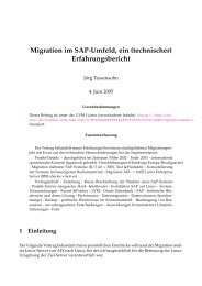 Migration im SAP-Umfeld, ein (technischer) Erfahrungsbericht