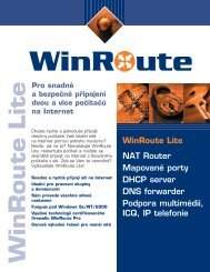 WinRoute Lite