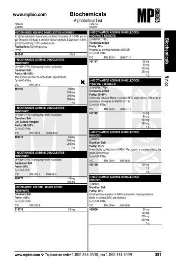 Document Finishing by Wordzworth