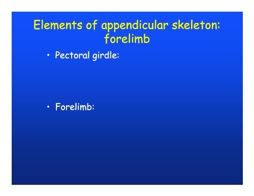 Elements of appendicular skeleton: f li b Elements of appendicular ...
