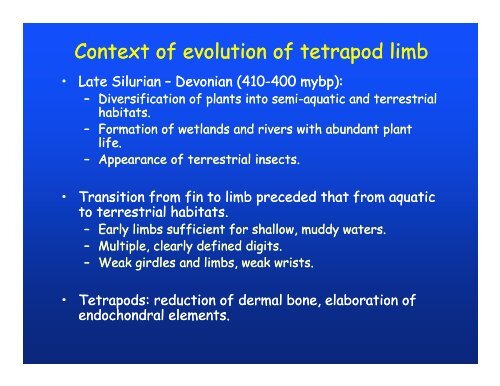 Elements of appendicular skeleton: f li b Elements of appendicular ...