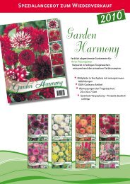 Garden Harmony - Kuepper-bulbs.de