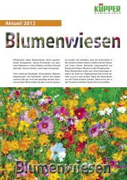 Blumenwiesen 2013 - Kuepper-bulbs.de