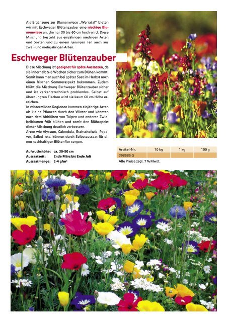 Blumenwiesen 2013 - Kuepper-bulbs.de