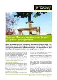 Infoblatt: Tipps zur Pflanzung von Baum und Strauch
