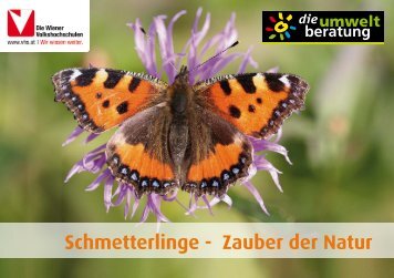 Poster: Schmetterlinge - Zauber der Natur