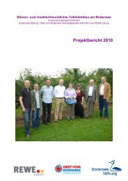 Projektbericht 2010 - pro planet