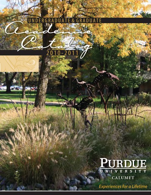 Academic Catalog 2010-2011 (Complete pdf file) - Purdue ...