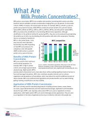 What are milk protein concentrates? - InnovateWithDairy.com