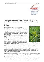 Indigosynthese und Chlorophyll-Extraktion - im NaT-Lab für ...
