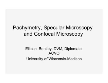 Pachymetry, Specular Microscopy and Confocal Microscopy