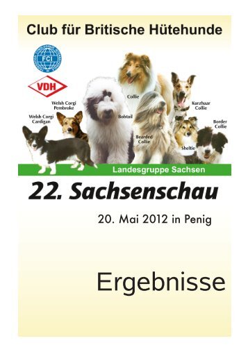 Penig 2012.pdf