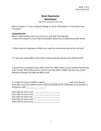 Gene Expression Worksheet