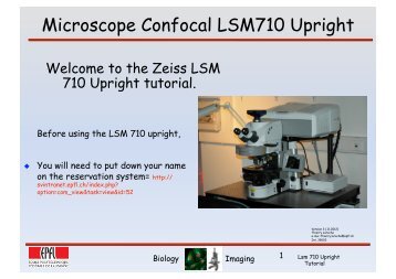 the Zeiss LSM 710 Upright tutorial - EPFL