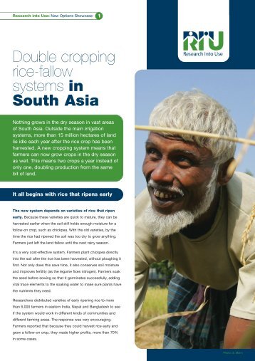 Double cropping rice-fallow systems in South Asia - Research Into Use