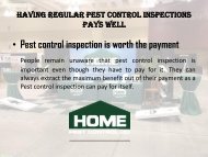 Having regular Pest control inspections pays well
