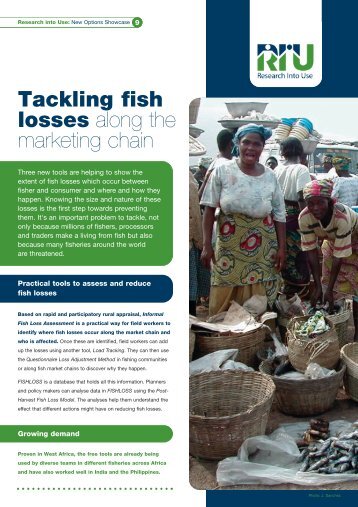 Tackling fish losses along the marketing chain - Research Into Use