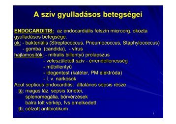 5._sziv pdf