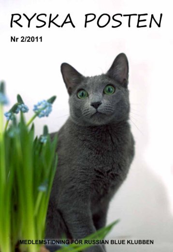 2-2011 - Russian Blue Klubben