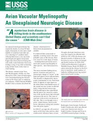Avian Vacuolar Myelinopathy An Unexplained Neurologic Disease