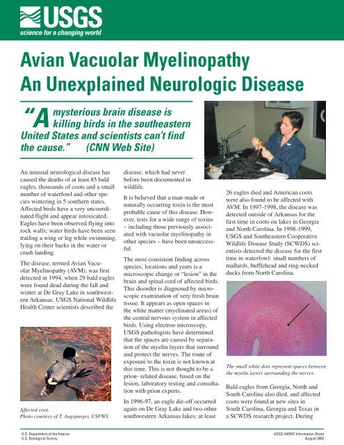 Avian Vacuolar Myelinopathy An Unexplained Neurologic Disease