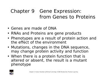 Chapter 9 Gene Expression: from Genes to Proteins