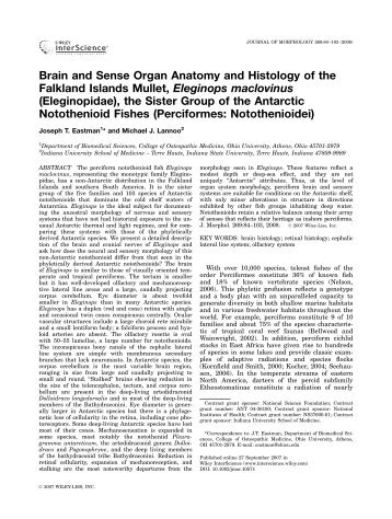 organ lab1 Since all organs are comprised of cells and tissues, we will use histologic slides lab #1 page 2 slide 91 in this slide of the spinal cord smear focus on the. organ lab1 Since all organs are comprised of cells and tissues, we will use histologic slides lab #1 page 2 slide 91 in this slide of the spinal cord smear focus on the.