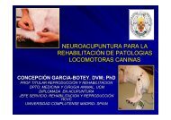 neuroacupuntura para la rehabilitaciÃ³n de patologias ... - SIAV