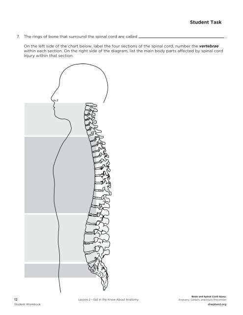 Body Parts Chart Pdf