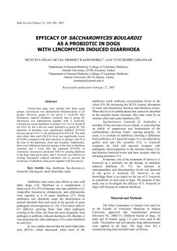 efficacy of saccharomyces boulardii as a probiotic in dogs