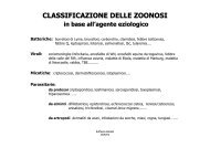 Classificazione delle zoonosi