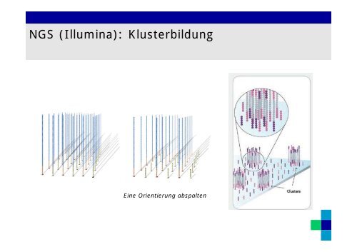 Genexpression 2012.pdf - Chirurgie