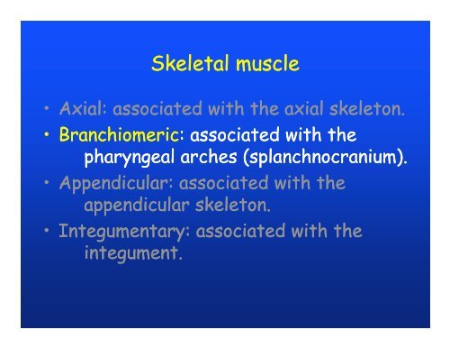 Muscular system