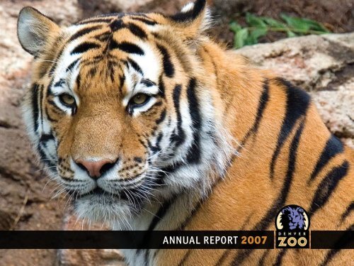 ANNUAL REPORT 2007 - Denver Zoo