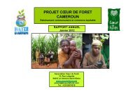 Rapport d'Ã©tape Cameroun Bassa - Janvier 2012 - Coeur de ForÃªt